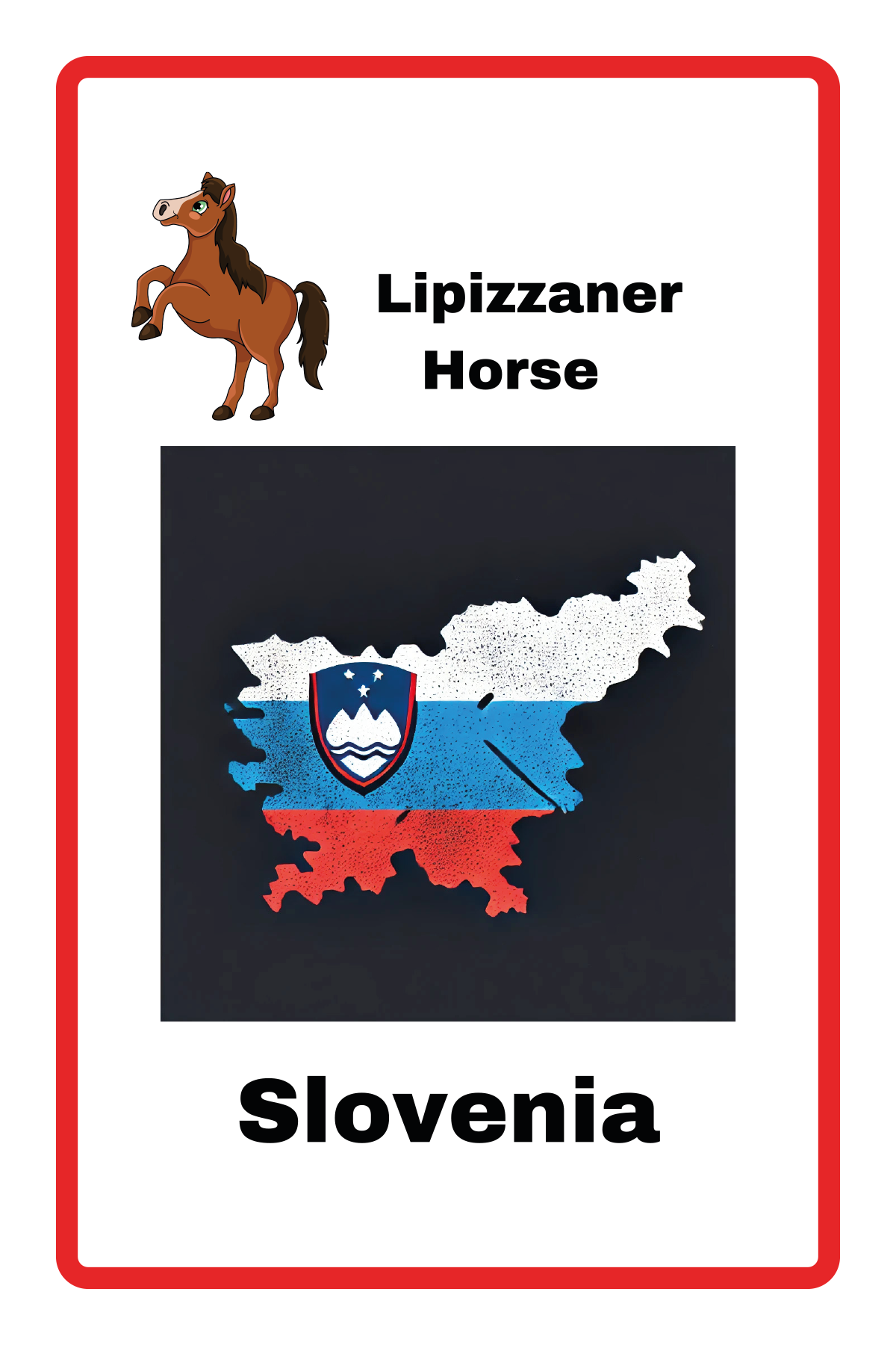 Geography : 🧧 Part 1 Country & National Animal Flashcard Set
