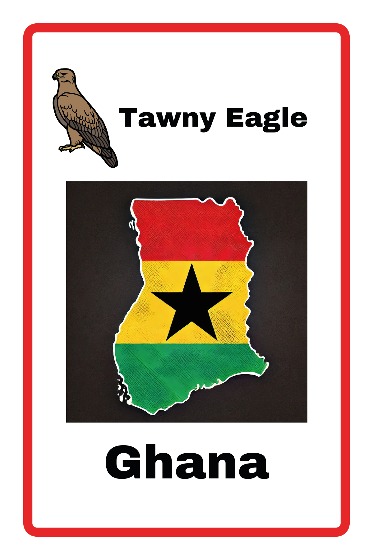 Geography : 🧧                      Part 2 Country & National Animals Flashcard Set