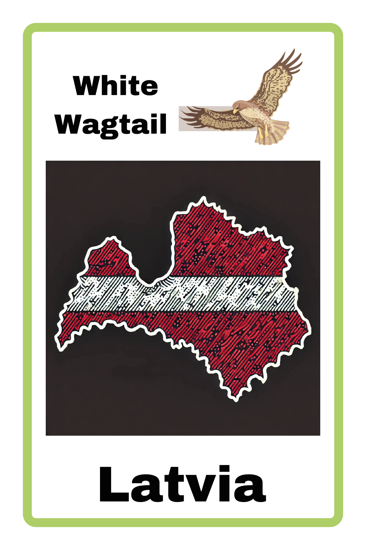 Geography :  🧧                   Part 3 Flashcard Set