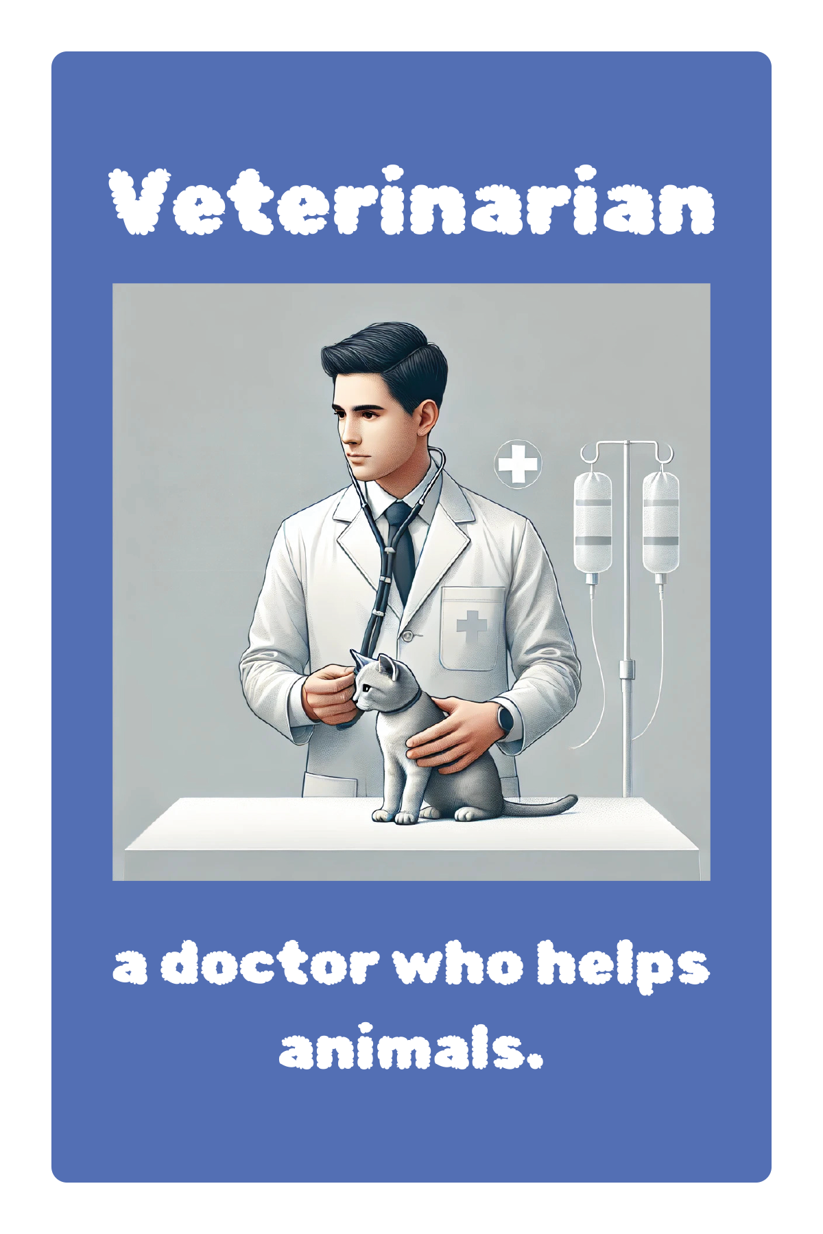 Medical: 🧧           Veterinarian Flashcards Set